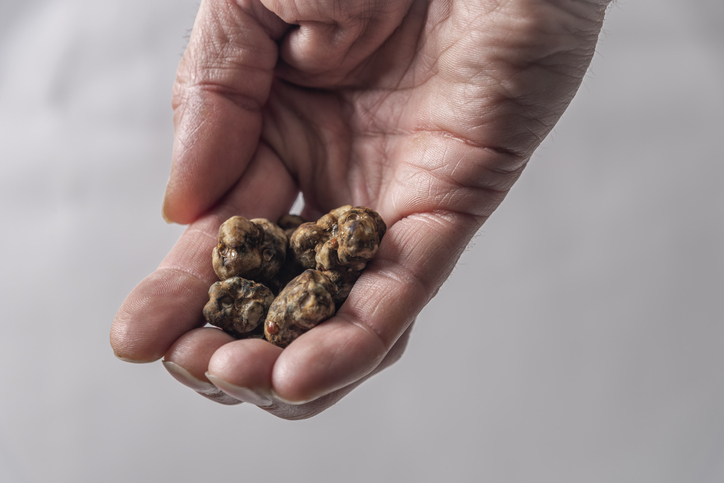 Ontdek de betoverende wereld van magic truffels: alles wat je moet weten