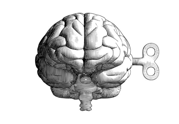 ayahuasca werking hersenen neurologie