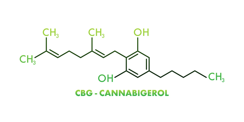 cannabigerol cbg olie isolaat gezondheid isolate oil voedingssupplement dietarty supplement