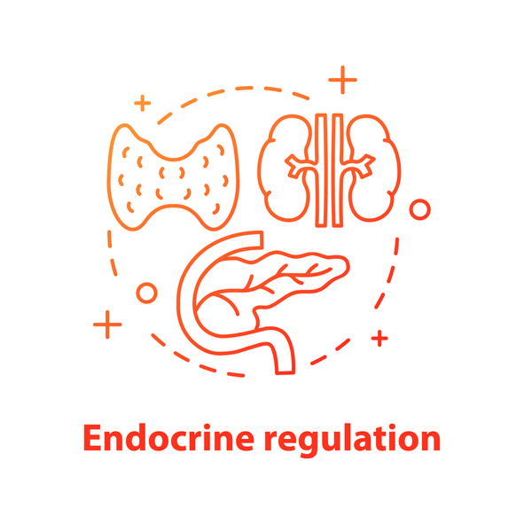 pine pollen testosteron gezondheid antioxidant superfood