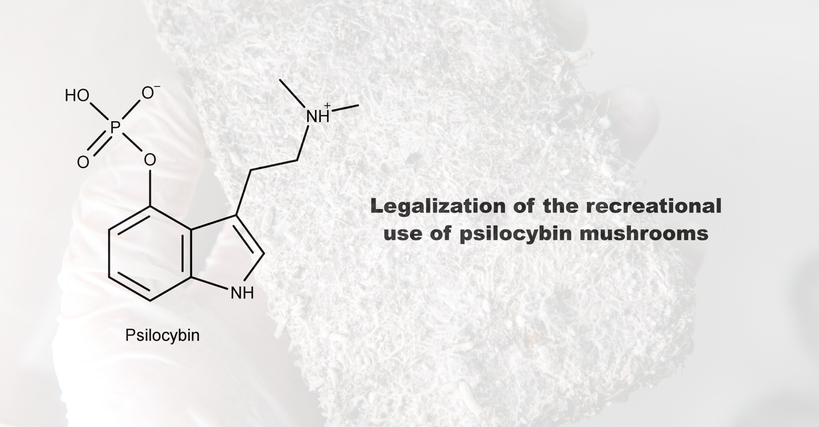 legalization psilocybin legalisatie psilocybine paddo truffel magic mushroom