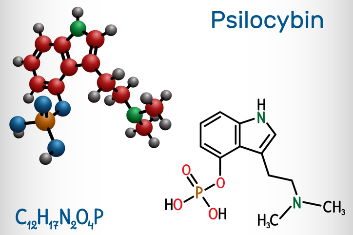 psilocybine psilocybe medicijn geneeskunde geneeskrachtig psilocybin