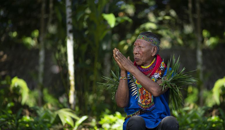 ayahuasca sjamaan trip ceremonie