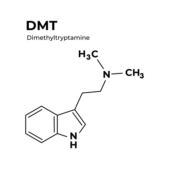 yopo zaden shaman shamaan sjamanisme dmt psychedelica sjamantische spiritualiteit 5 neo